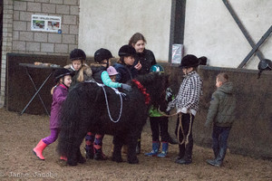 Pony-winterspelen 2017