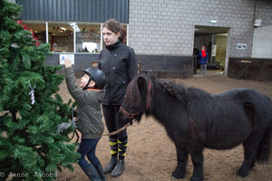 Pony-winterspelen 2017