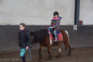 Pony-winterspelen 2017