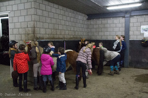 Pony-winterspelen 2017