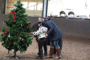 Pony-winterspelen 2017