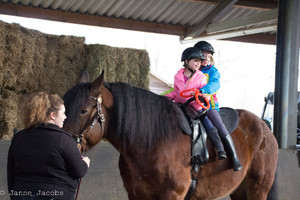 Pony-winterspelen 2017