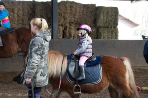 Pony-winterspelen 2017