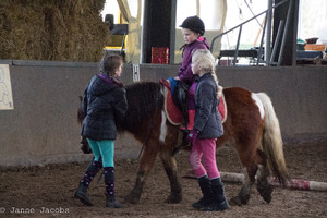 Pony-winterspelen 2017