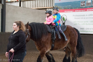 Pony-winterspelen 2017