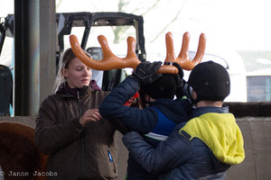 Pony-winterspelen 2017