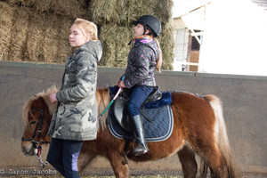 Pony-winterspelen 2017