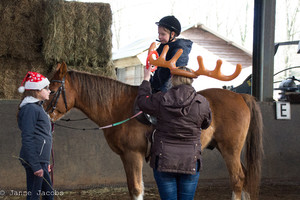 Pony-winterspelen 2017