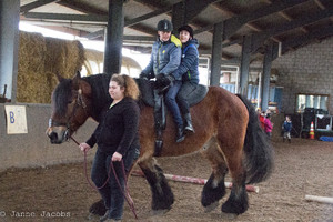 Pony-winterspelen 2017