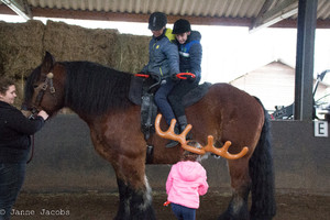 Pony-winterspelen 2017