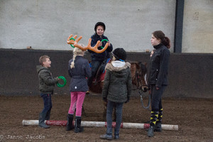 Pony-winterspelen 2017