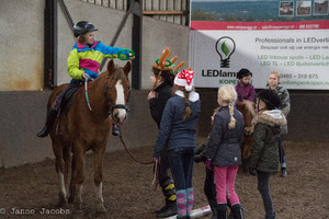 Pony-winterspelen 2017