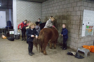 Pony-winterspelen 2017