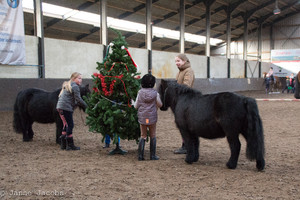 Pony-winterspelen 2017