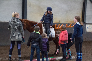 Pony-winterspelen 2017