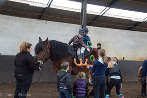 Pony-winterspelen 2017