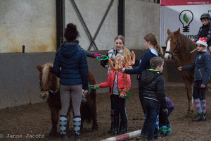 Pony-winterspelen 2017