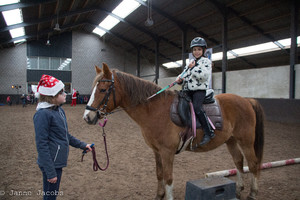 Pony-winterspelen 2017