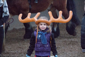 Pony-winterspelen 2017