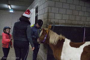 Pony-winterspelen 2017