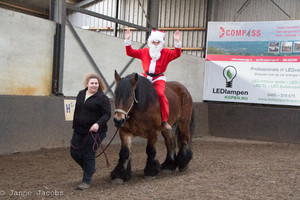 Pony-winterspelen 2017