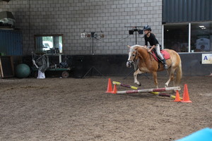 Ponykamp 2017 - week 32