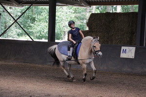 Ponykamp 2017 - week 34