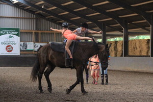 Ponykamp 2017 - week 34