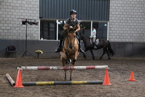 Ponykamp 2017 - week 34