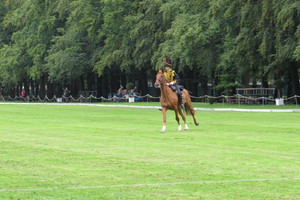 Racingteam Royal Polo Paleis het Loo