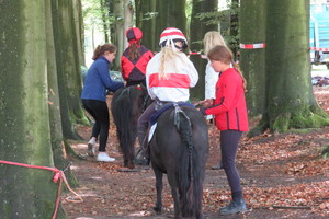 Racingteam Royal Polo Paleis het Loo