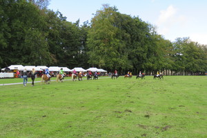 Racingteam Royal Polo Paleis het Loo