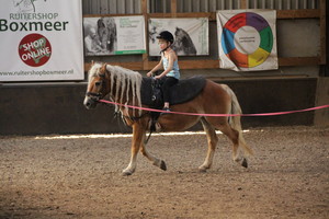 Ponykamp 2017 - week 29