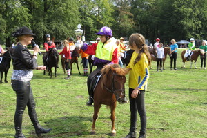 Racingteam Royal Polo Paleis het Loo