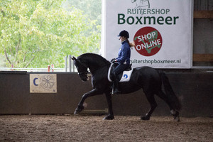 Het Friese paard als sportpaard