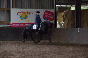 Het Friese paard als sportpaard