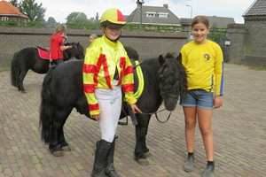 Racingteam fokpaardendag St. Anthonis 2018