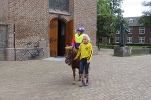 Racingteam fokpaardendag St. Anthonis 2018