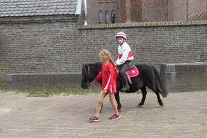 Racingteam fokpaardendag St. Anthonis 2018