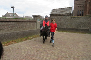 Racingteam fokpaardendag St. Anthonis 2018