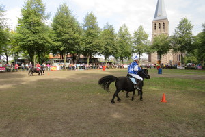 Racingteam fokpaardendag St. Anthonis 2018