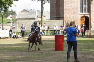 Racingteam fokpaardendag St. Anthonis 2018