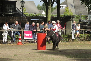 Racingteam fokpaardendag St. Anthonis 2018