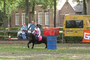 Racingteam fokpaardendag St. Anthonis 2018