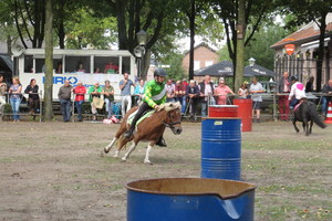 Racingteam fokpaardendag St. Anthonis 2018