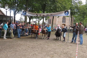 Racingteam fokpaardendag St. Anthonis 2018