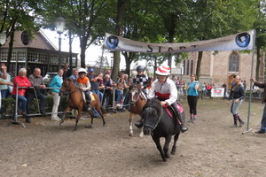 Racingteam fokpaardendag St. Anthonis 2018