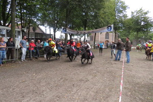 Racingteam fokpaardendag St. Anthonis 2018