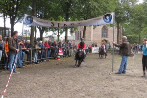 Racingteam fokpaardendag St. Anthonis 2018