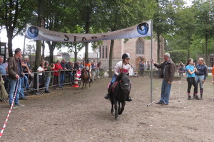 Racingteam fokpaardendag St. Anthonis 2018